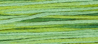 Lucky 4111 Weeks Dye Works 6-Strand Hand-Dyed Embroidery Floss